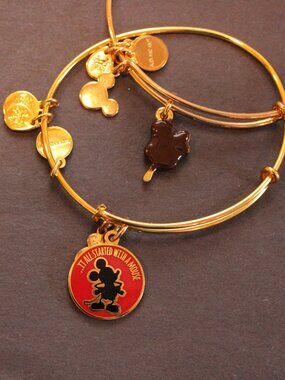 Alex and Ani 2-piece gold Disney bangle set